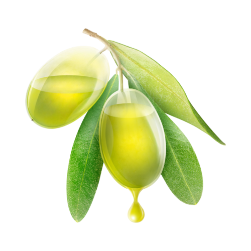 aceituna